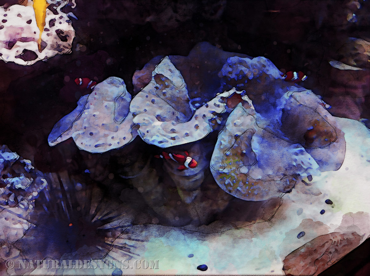 A sheltered alcove of coral and rock, still and quiet beneath the surface, rendered in watercolor.