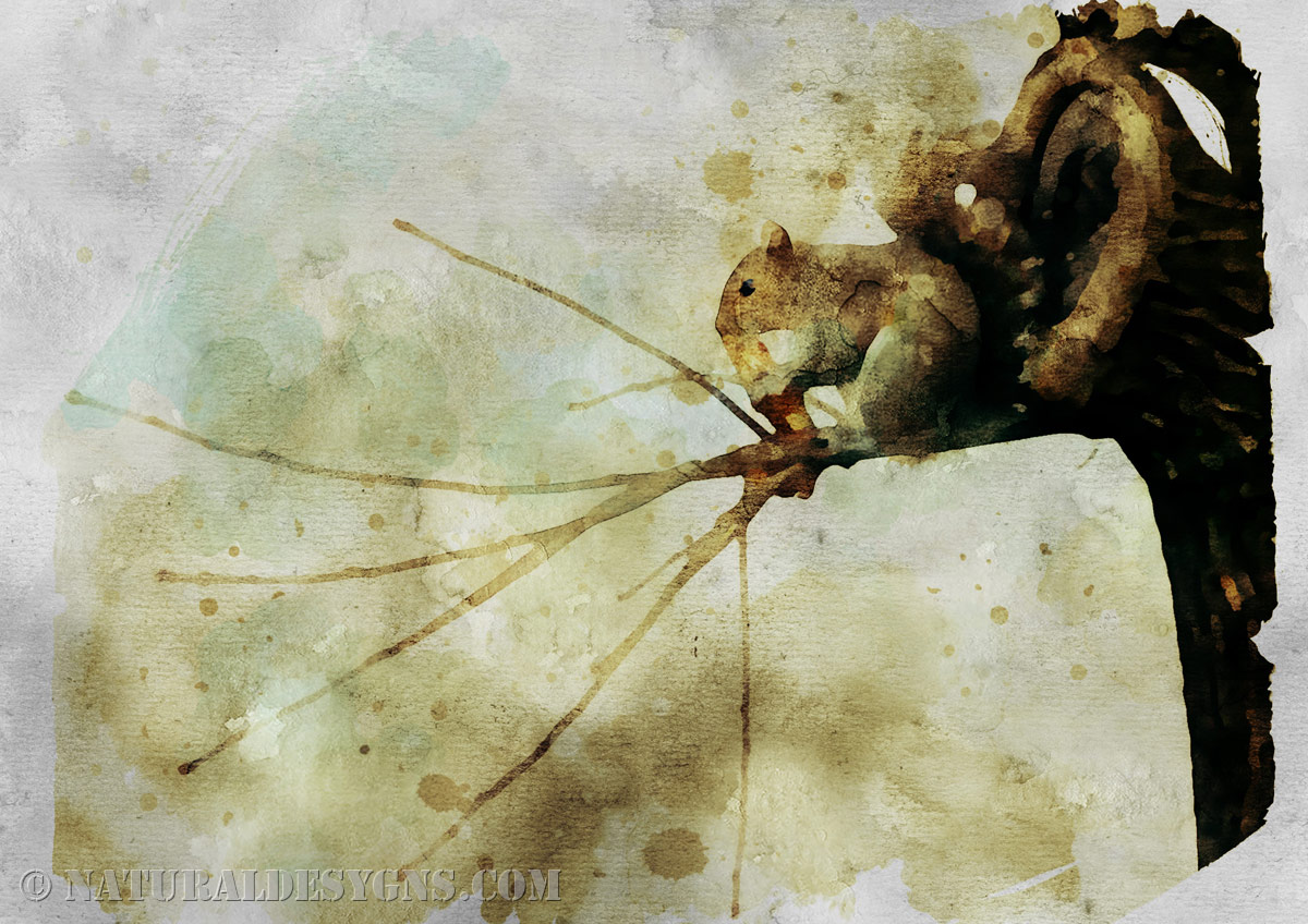 A squirrel perched on a branch eating a slice of pizza, rendered in watercolor