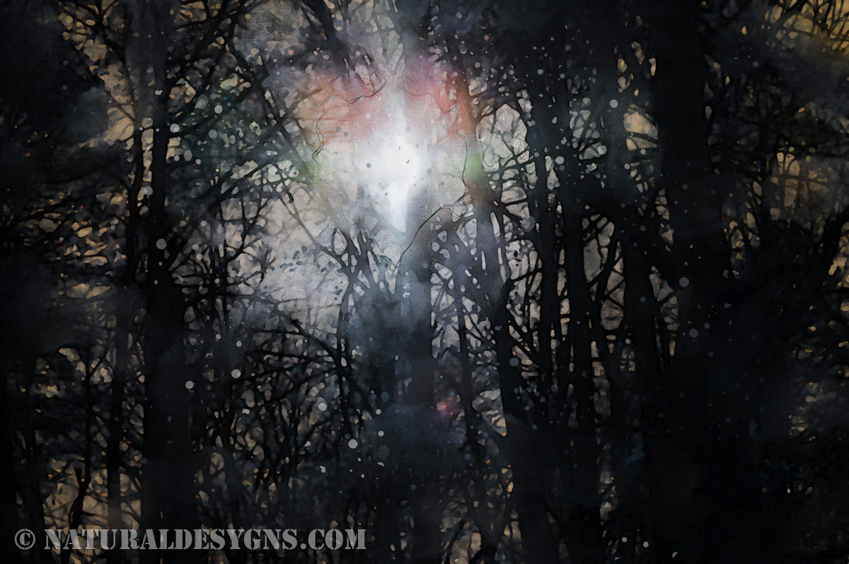 A single shaft of light pierces the canopy and strikes the forest floor, cutting through shadow, rendered in watercolor.