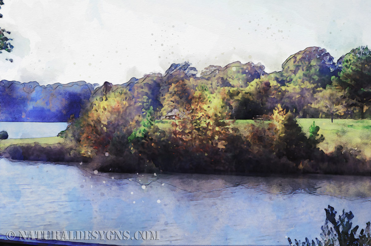 Water viewed from a hillside looking down over the landscape